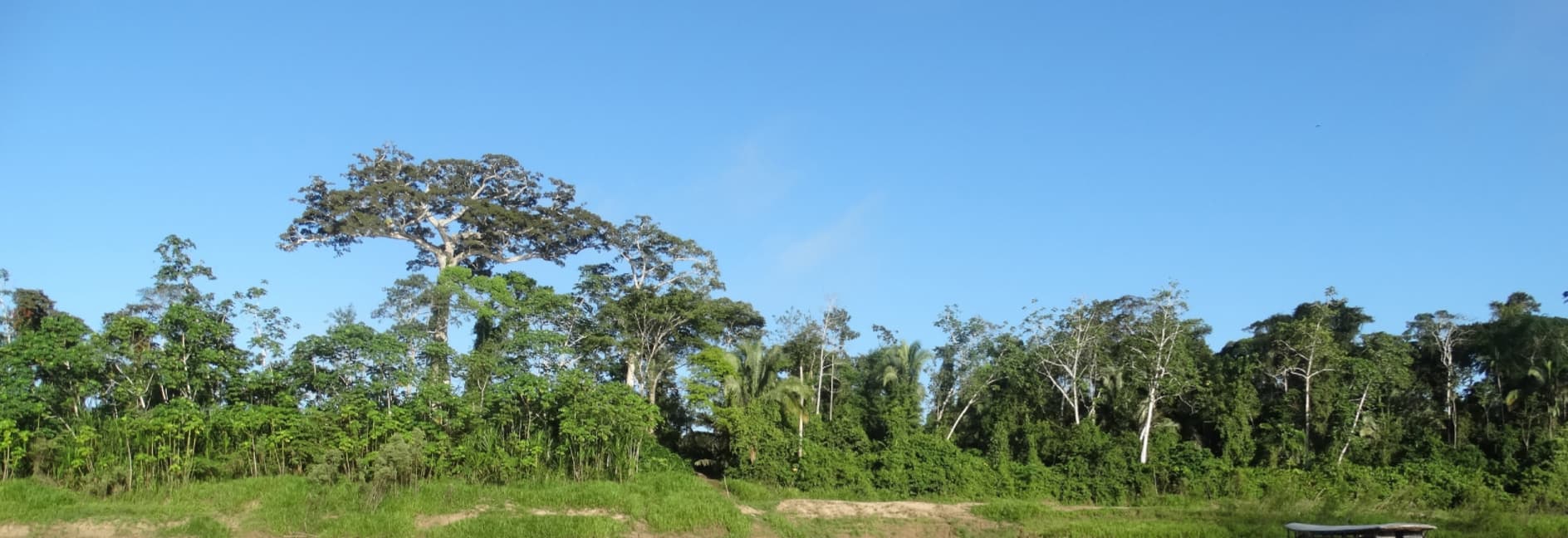 Agrocortex REDD Project