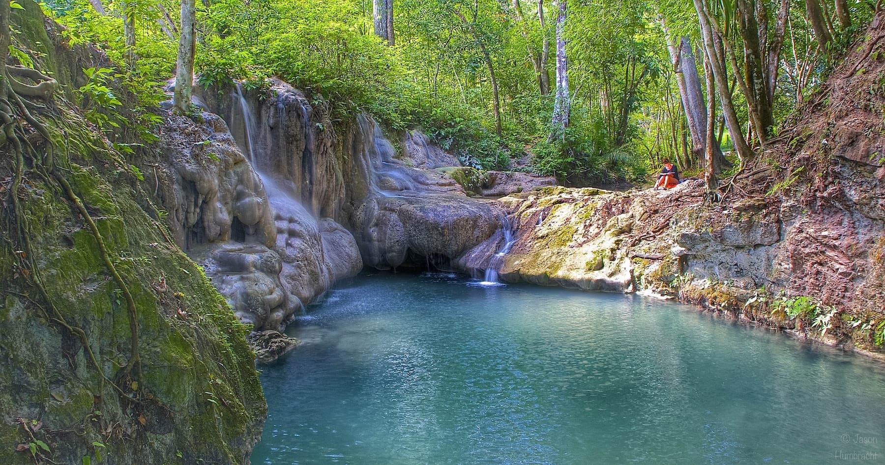 green trees and blue water