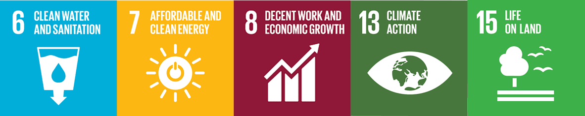 The Sustainable Development Goals